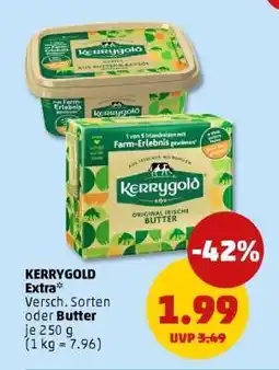 PENNY KERRYGOLD Extra Angebot
