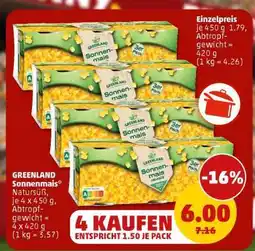 PENNY GREENLAND Sonnenmais Angebot