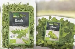 WEZ EDEKA Bio Italienischer Rucola, Pflücksalat, Feldsalat oder Blattspinat Angebot