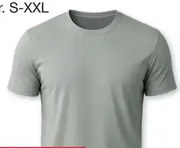 Woolworth Herren T-Shirts Angebot