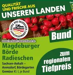 Norma Magdeburger Börde Radieschen Angebot