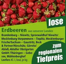 Norma Erdbeeren Angebot