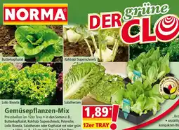 Norma Gemüsepflanzen-Mix Angebot