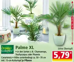 Norma FINEST GARDEN Palme XL Angebot