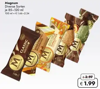 Travel Free Magnum Angebot