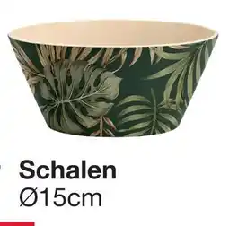 Woolworth Schalen Angebot