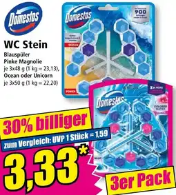 Norma Domestos WC Stein Angebot