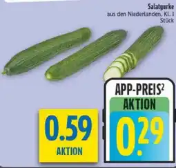 diska Salatgurke Angebot