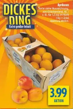 diska Aprikosen Angebot