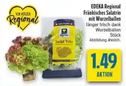 diska EDEKA Regional Fränkisches Salatrio mit Wurzelballen Angebot