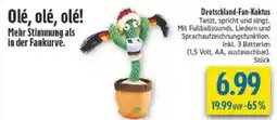 diska Deutschland-Fan-Kaktus Angebot