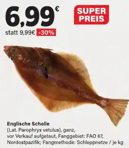 LEDO Englische Scholle Angebot