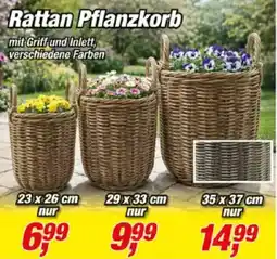 Posten Börse Rattan Pflanzkorb Angebot