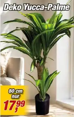 Posten Börse Deko Yucca-Palme Angebot