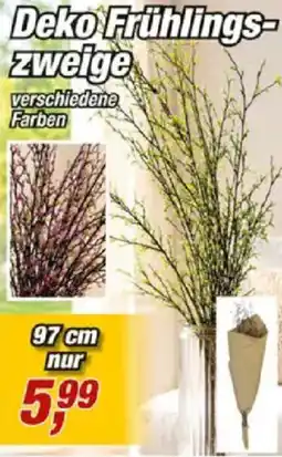Posten Börse Deko Frühlings- Zweige Angebot