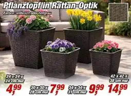 Posten Börse Pflanztopf in Rattan-Optik Angebot