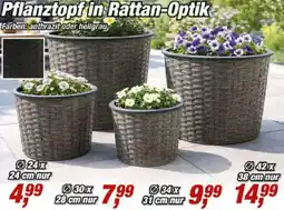 Posten Börse Pflanztopf in Rattan-Optik Angebot
