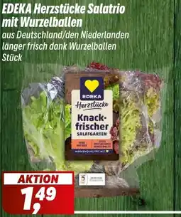 Simmel EDEKA Herzstücke Salatrio mit Wurzelballen Angebot