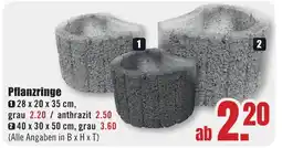 B1 Discount Baumarkt Pflanzringe Angebot