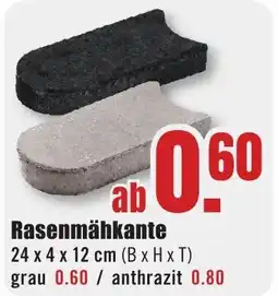 B1 Discount Baumarkt Rasenmähkante Angebot