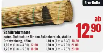 B1 Discount Baumarkt Schilfrohrmatte Angebot