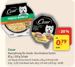 Fressnapf Cesar Angebot