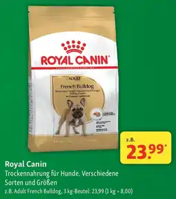 Fressnapf Royal Canin Angebot