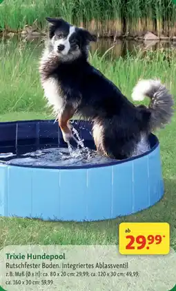 Fressnapf Trixie Hundepool Angebot