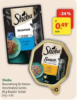 Fressnapf Sheba Angebot
