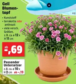 Thomas Philipps Geli Blumentopf Angebot