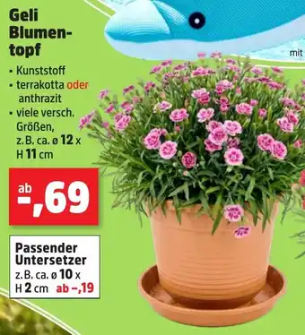 Geli Blumentopf