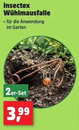 Thomas Philipps Insectex Wühlmausfalle Angebot