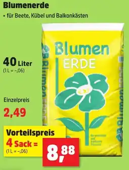 Thomas Philipps Blumenerde Angebot