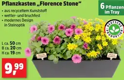 Thomas Philipps Pflanzkasten ,,Florence Stone" Angebot