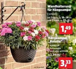 Thomas Philipps Wandhalterung für Hängeampel Angebot