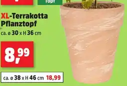 Thomas Philipps XL-Terrakotta Pflanztopf Angebot