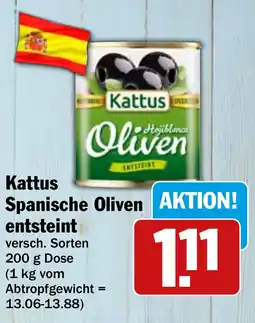 HIT Ullrich Kattus Spanische Olivenentsteint Angebot