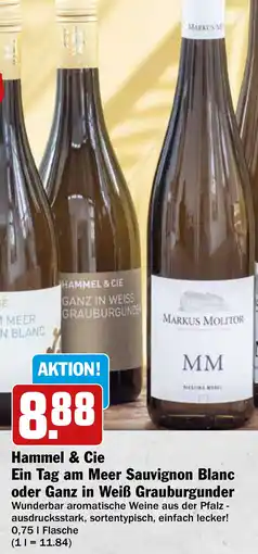 HIT Ullrich Hammel & Cie Ein Tag am Meer Sauvignon Blanc oder Ganz in Weiß Grauburgunder Angebot
