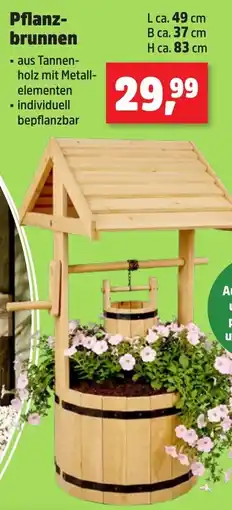 Thomas Philipps Pflanzbrunnen Angebot