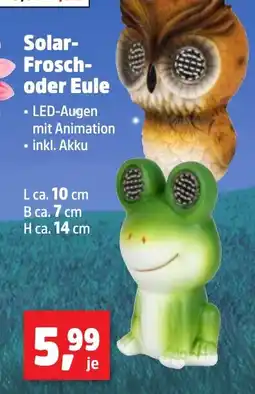 Thomas Philipps Solar- Frosch- oder Eule Angebot