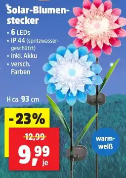 Thomas Philipps Solar-Blumenstecker Angebot