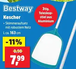 Thomas Philipps Bestway Kescher Angebot