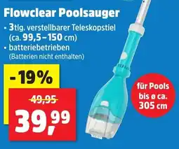 Thomas Philipps Flowclear Poolsauger Angebot