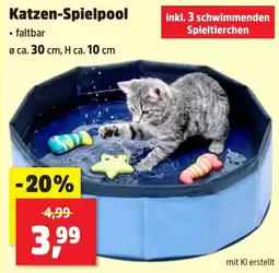 Thomas Philipps Katzen-Spielpool Angebot