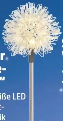 Thomas Philipps Solarstecker Pusteblume Angebot