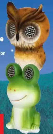 Thomas Philipps Solar Frosch Angebot