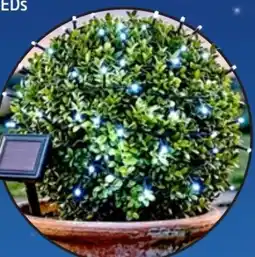 Thomas Philipps Solar-LED-Lichterketten Angebot