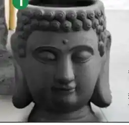 Thomas Philipps Pflanztopf Buddha Angebot