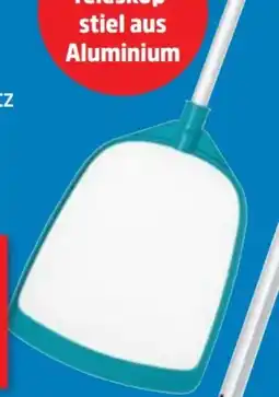 Thomas Philipps BestWay Pool Kescher Angebot
