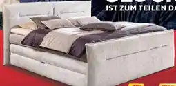 Segmüller Boxspringbett Elma Angebot